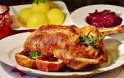 duck-2957809_640