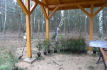 SAM_0041