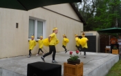 SAM_3730