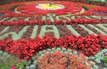 SAM_4203